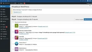 Panel aktualizacji WordPress z listą wtyczek do zaktualizowania